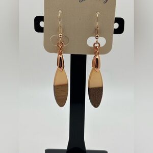 ✨5/$25✨ Gold and Brown Dangle Earrings